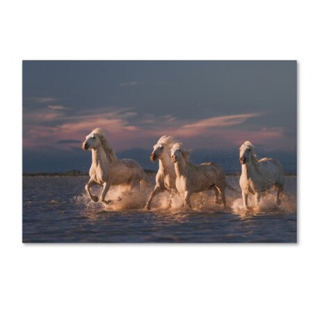 Trademark Fine Art Rostovskiy Anton 'Angels Of Camargue' Canvas Art, 22x32 1X00549-C2232GG